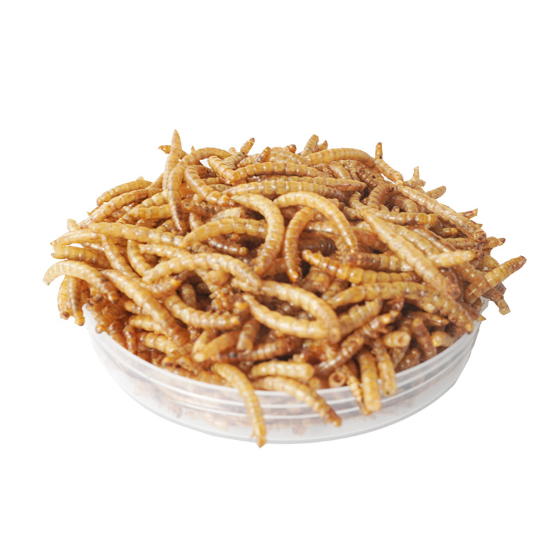 Food Snacks With High Protein - Eiwitrijke snacks voor hamsters, vogels, egels,