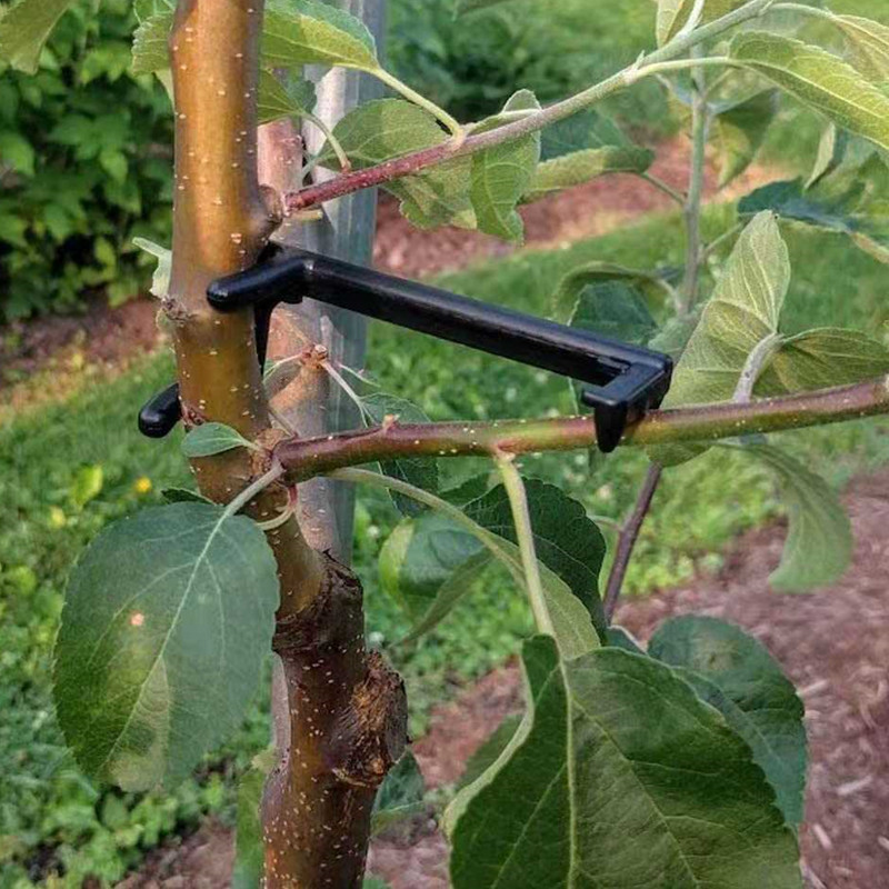 Fruit Roll Up - Fruitboomtak Puller Plant Wijnstokken Ondersteuning Clips