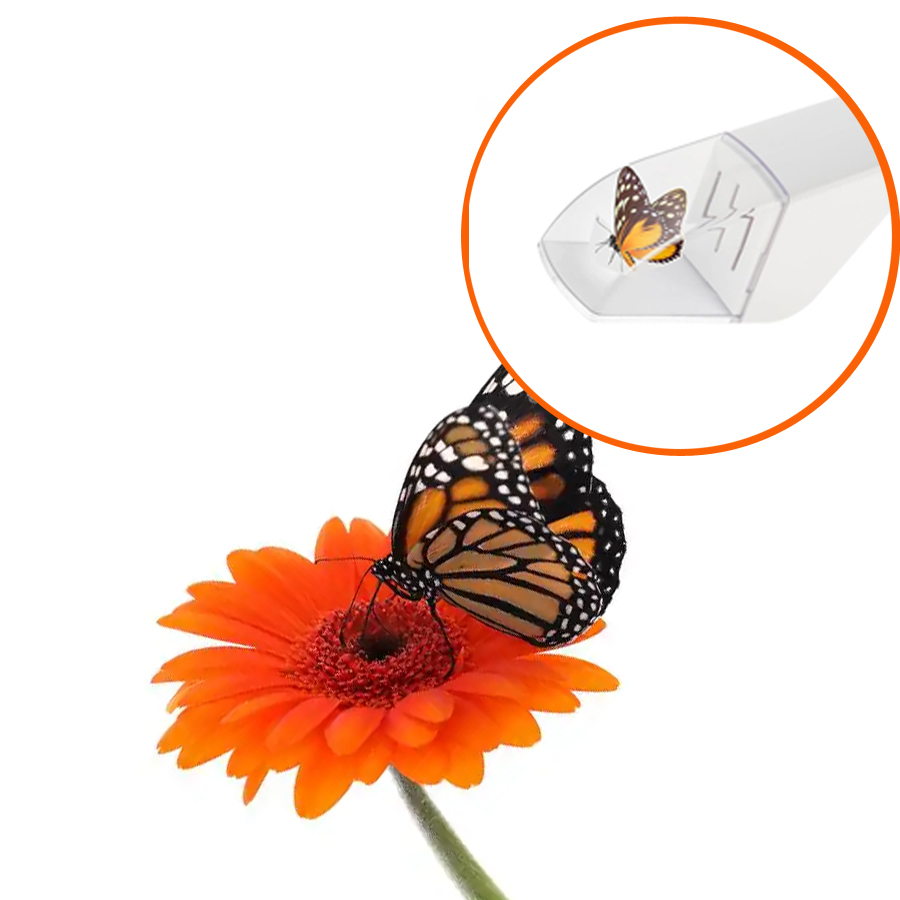 Vliegenvanger Insectenvanger M - Fruit Roll Up recensie en prijs
