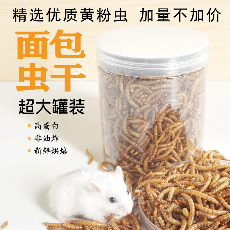 Eiwitrijke snacks voor hamster - Food Snacks With High Protein recensie en prijs
