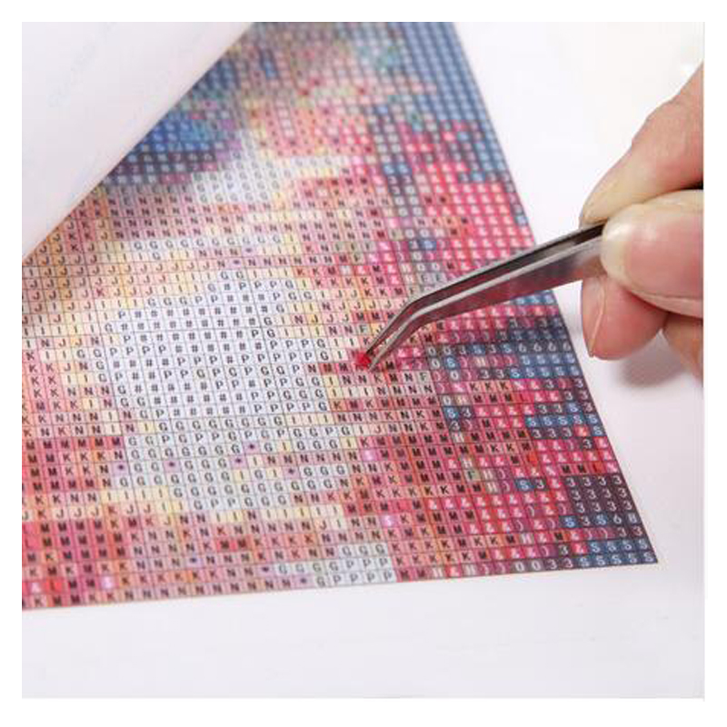 Diy Diamant Schilderij Vol Ple - Fruit Roll Up recensie en prijs